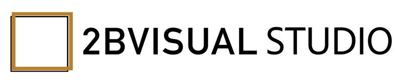 2Bvisual Studio